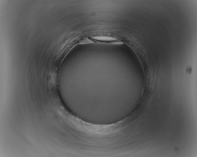 X0000115430035200911181510