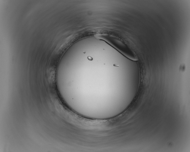 X0000115430036200911181510