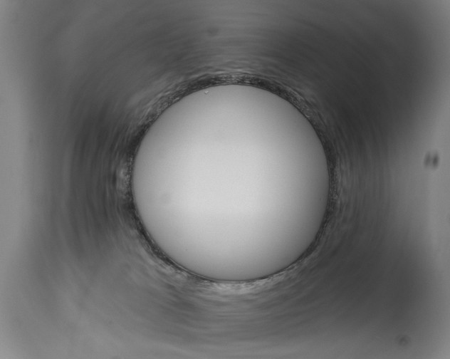 X0000115430037200911181510