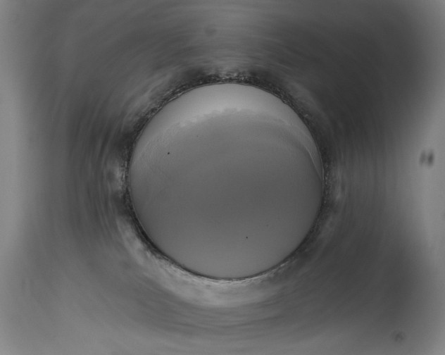 X0000115430039200911181510