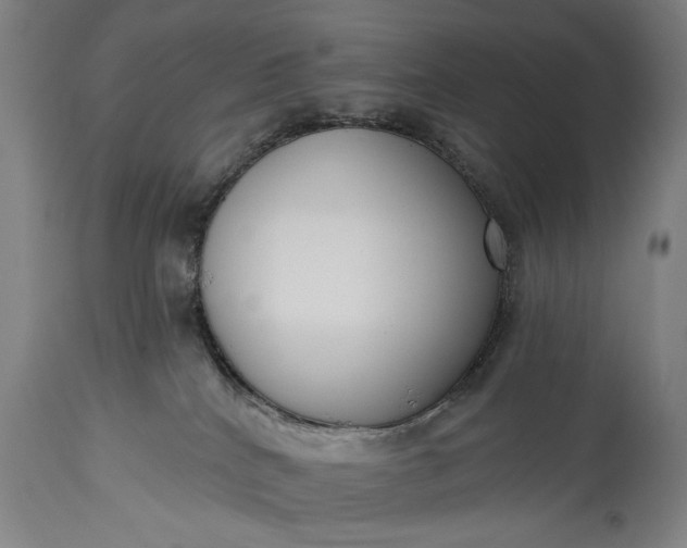 X0000115430040200911181510