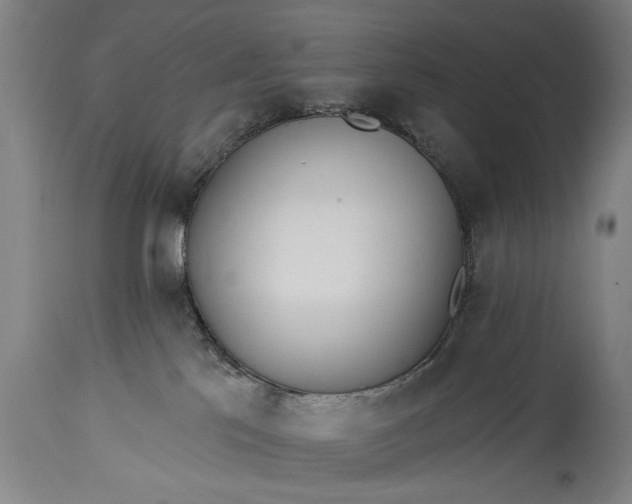 X0000115430041200911181510