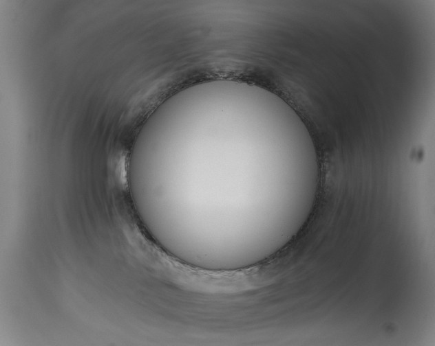 X0000115430042200911181510