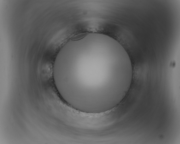 X0000115430043200911181510