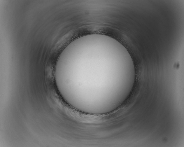 X0000115430044200911181510