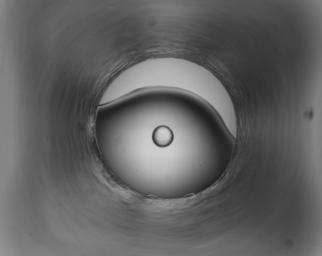 X0000115430045200911181510