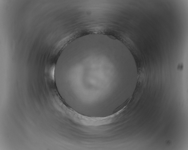 X0000115430047200911181510