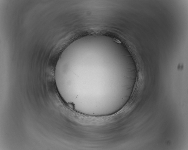 X0000115430048200911181510