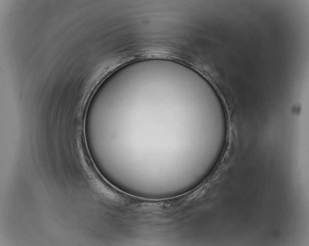 X0000115430049200911181510