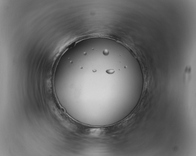 X0000115430050200911181510