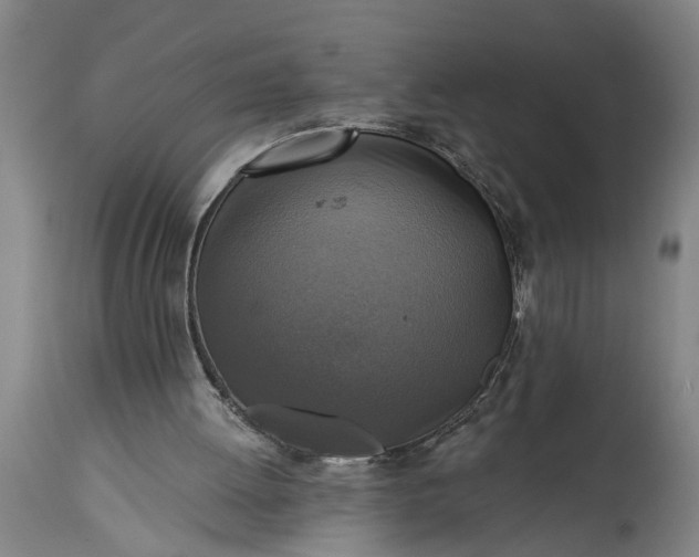 X0000115430052200911181510