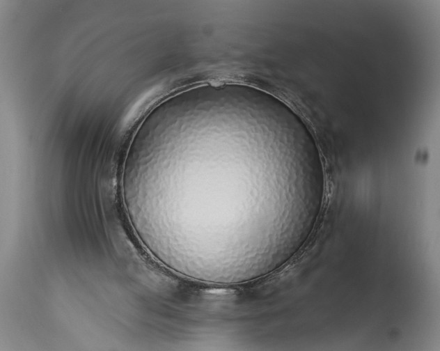 X0000115430053200911181510