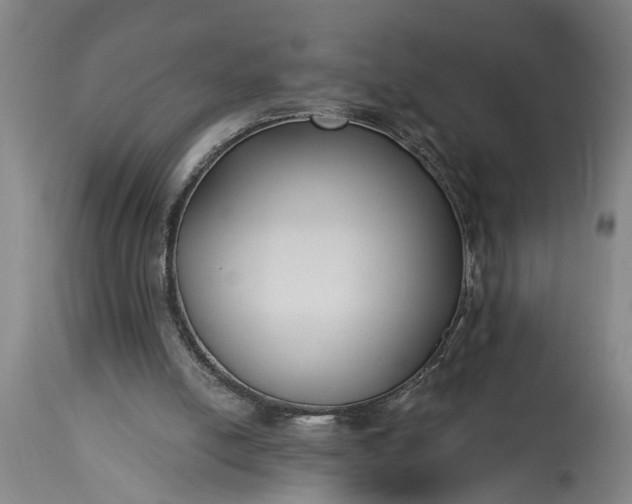 X0000115430054200911181510