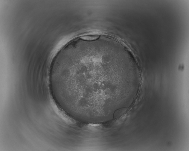 X0000115430055200911181510