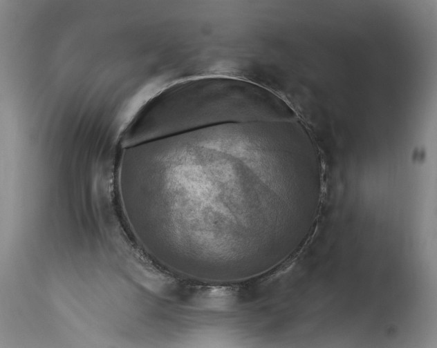 X0000115430056200911181510