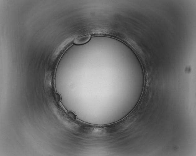 X0000115430060200911181510