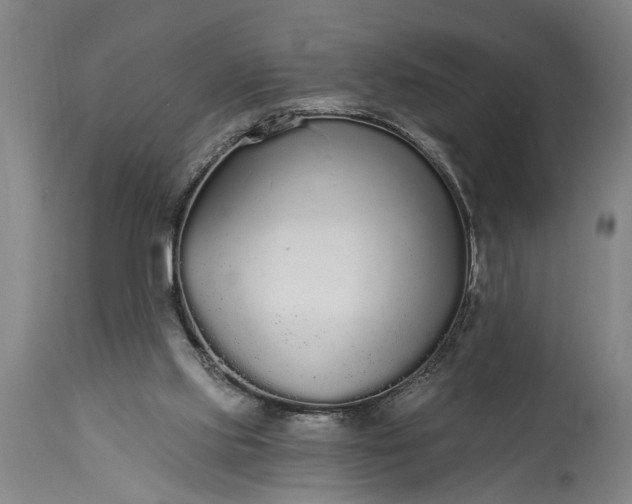 X0000115430061200911181510