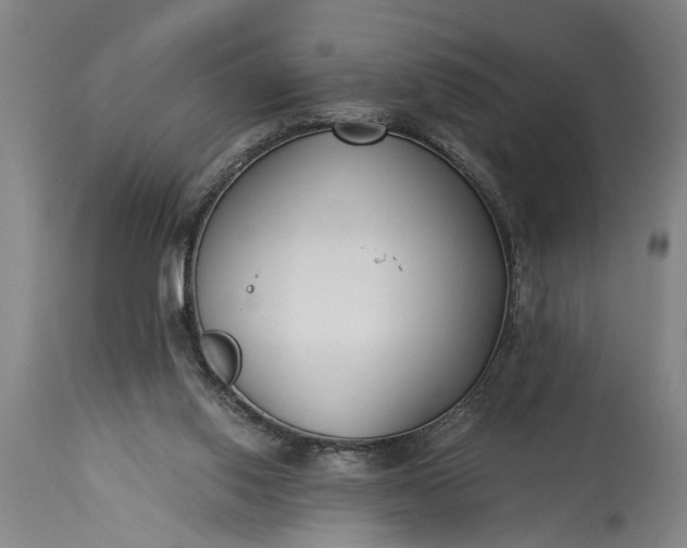 X0000115430062200911181510