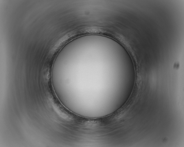 X0000115430063200911181510