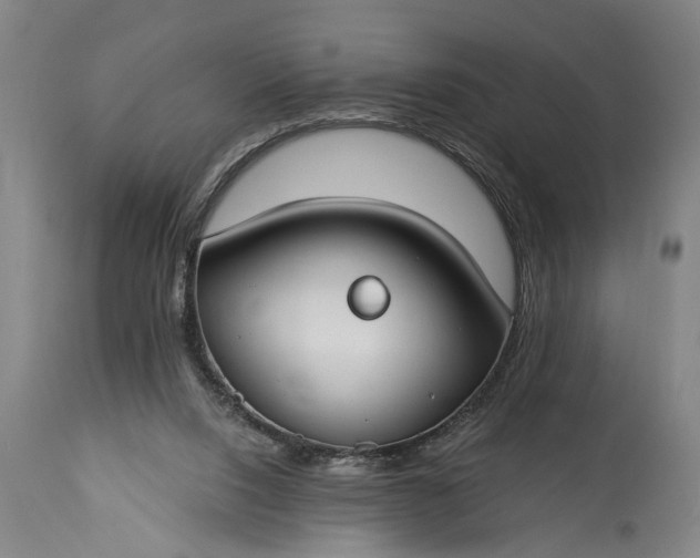 X0000115430064200911181510