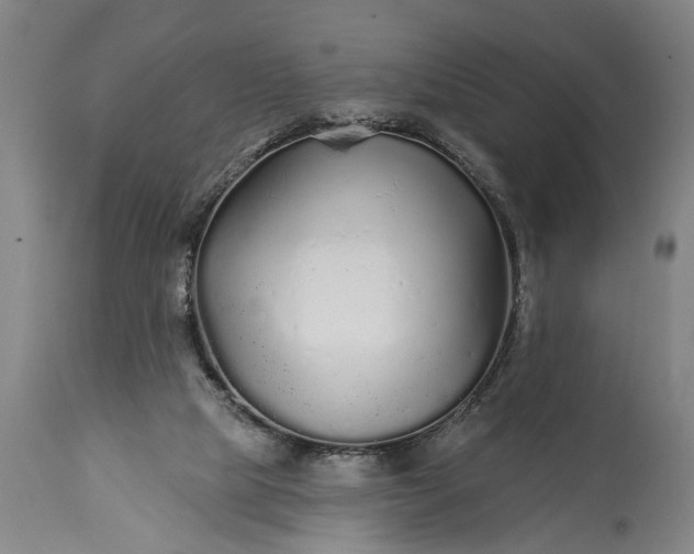 X0000115430065200911181510