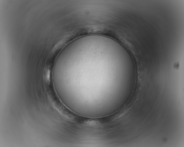 X0000115430067200911181510