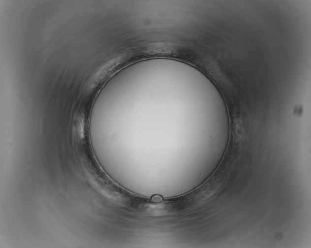 X0000115430068200911181510