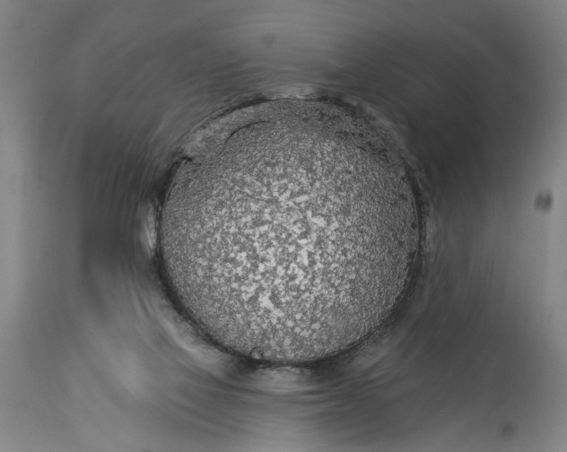 X0000115430069200911181510