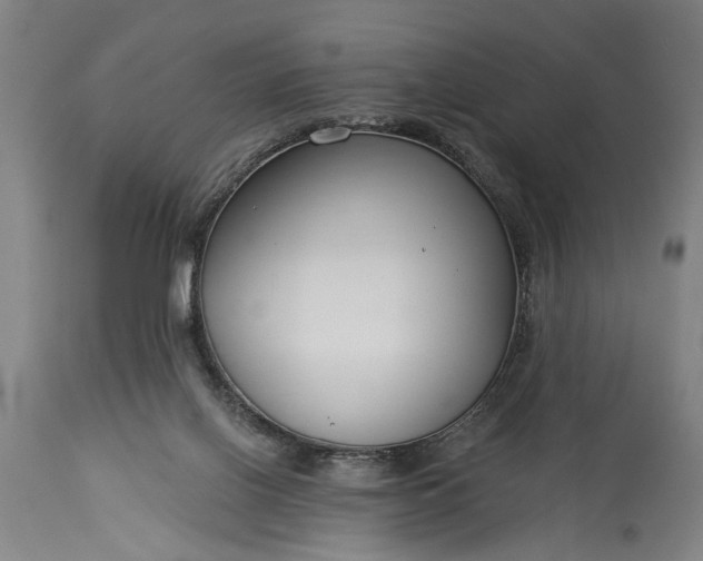 X0000115430070200911181510