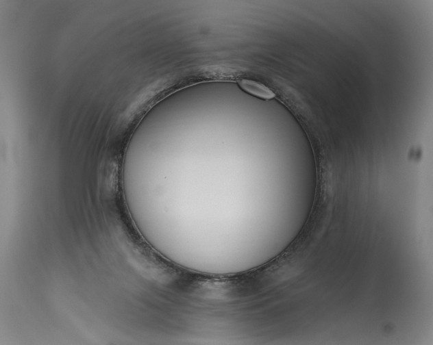 X0000115430071200911181510