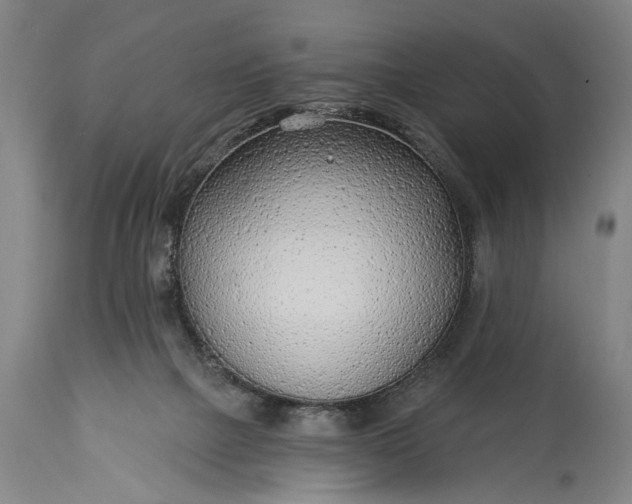 X0000115430073200911181510