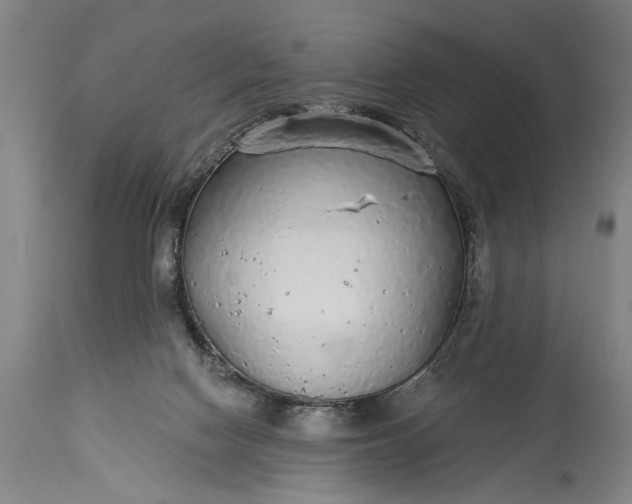 X0000115430074200911181510