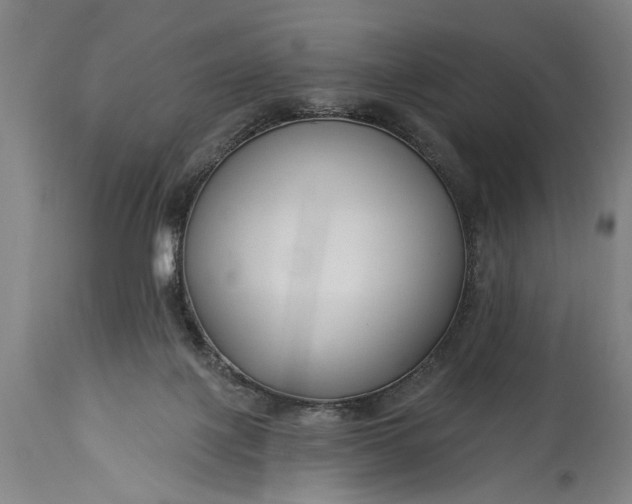 X0000115430075200911181510