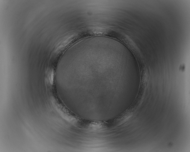 X0000115430076200911181510