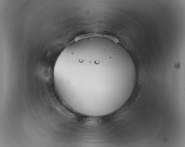 X0000115430077200911181510