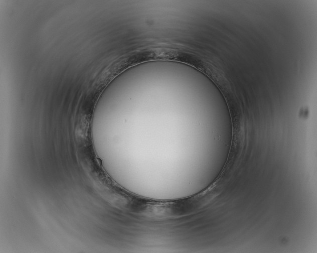 X0000115430078200911181510