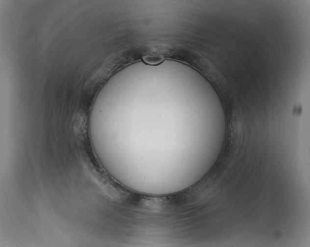 X0000115430079200911181510