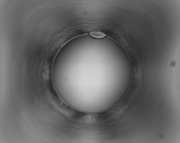 X0000115430080200911181510