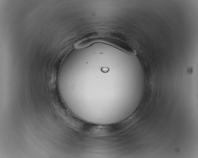 X0000115430082200911181510