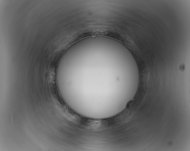 X0000115430083200911181510