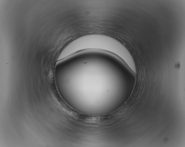 X0000115430084200911181510