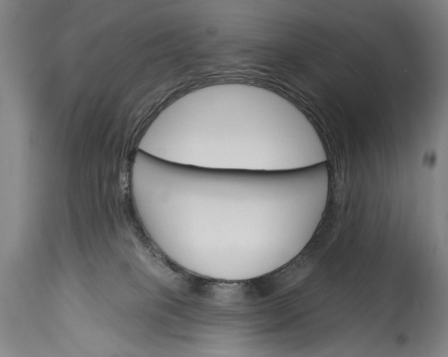 X0000115430085200911181510