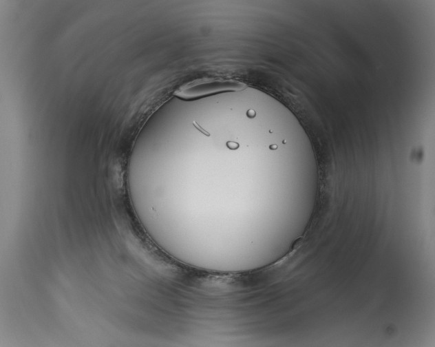 X0000115430086200911181510