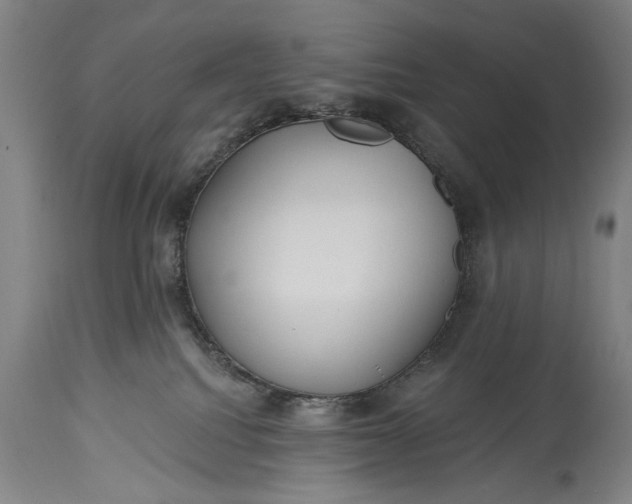 X0000115430088200911181510