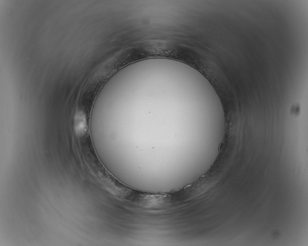 X0000115430089200911181510