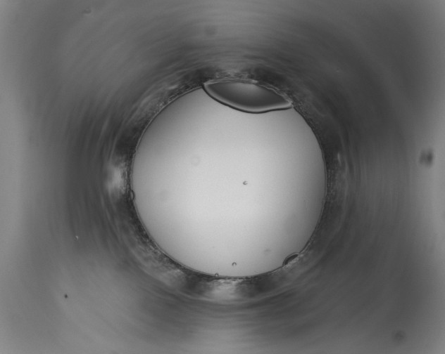 X0000115430090200911181510