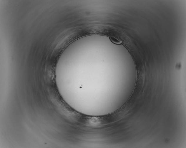 X0000115430091200911181510