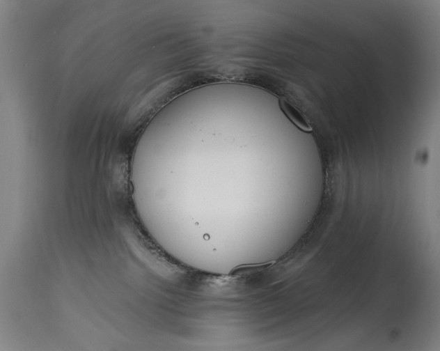 X0000115430092200911181510