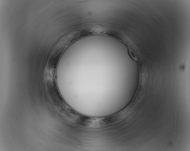 X0000115430093200911181510