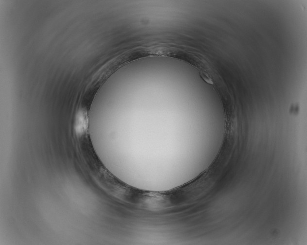 X0000115430095200911181510